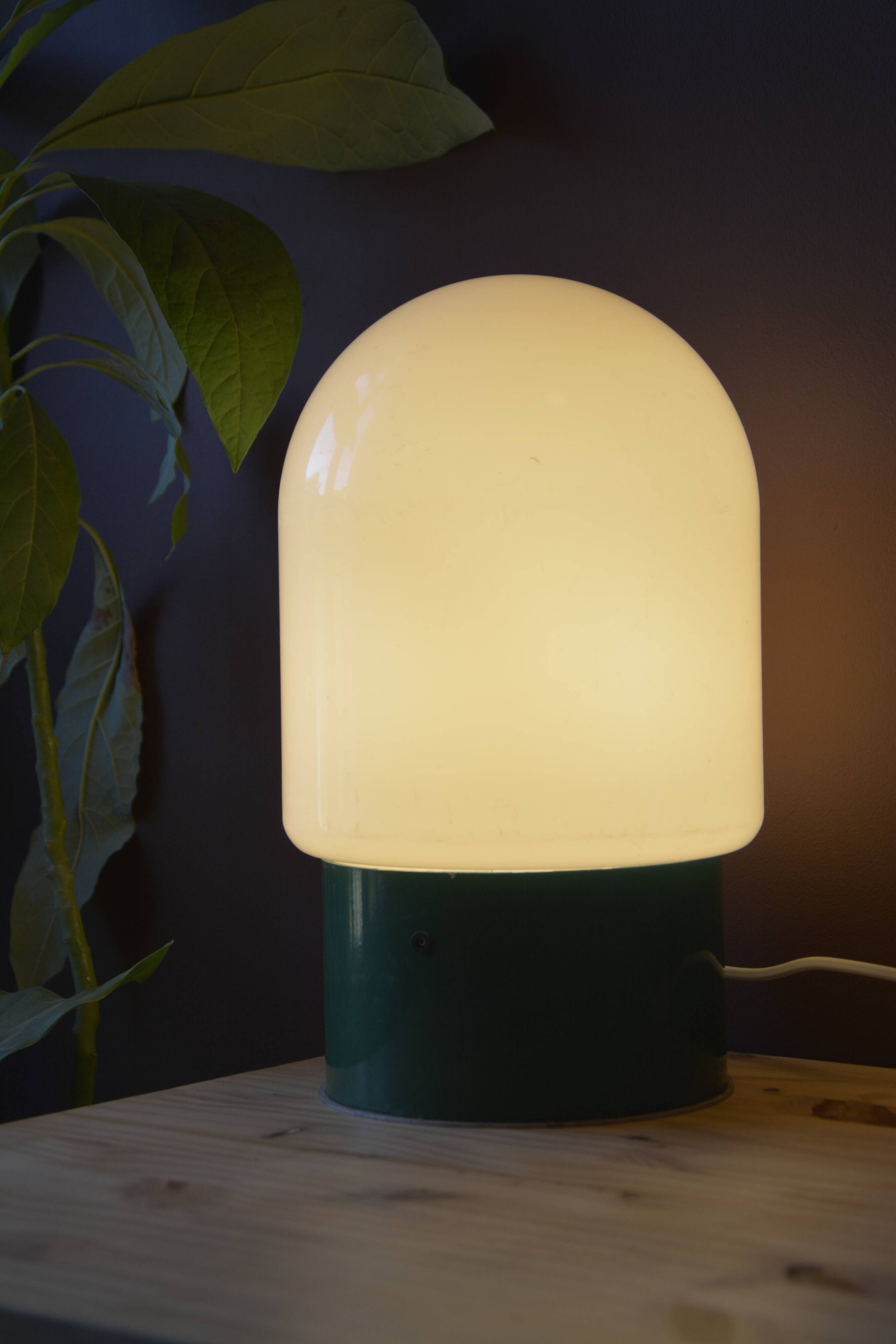 Pair of industrial lamps