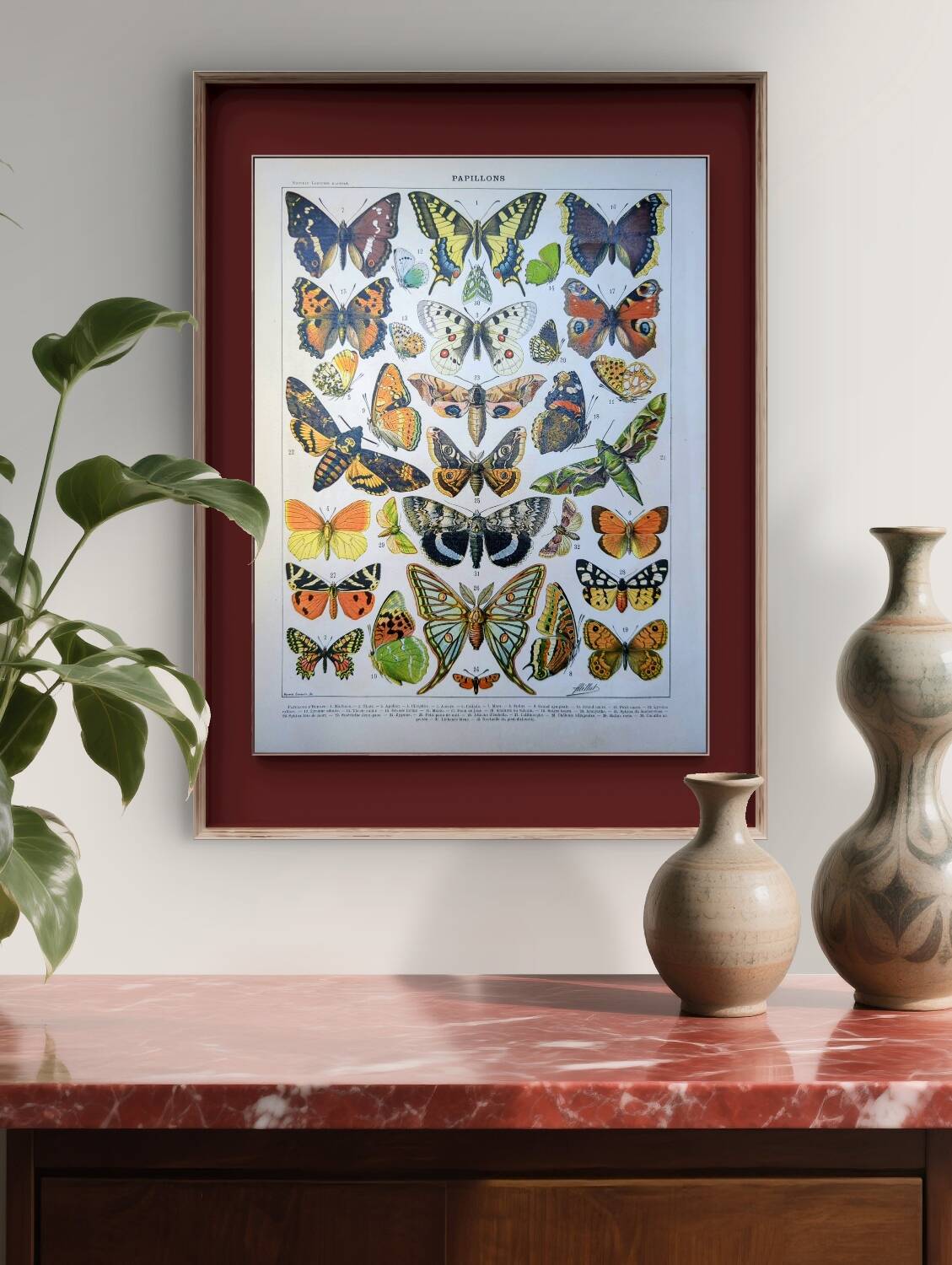 Imprimée en 1905, les papillons. Affiche Entomologique ancienne.