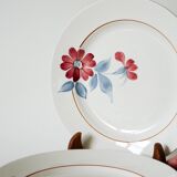 Set of 5 saint-amand dessert plates, with pink and blue flowers, 1960
