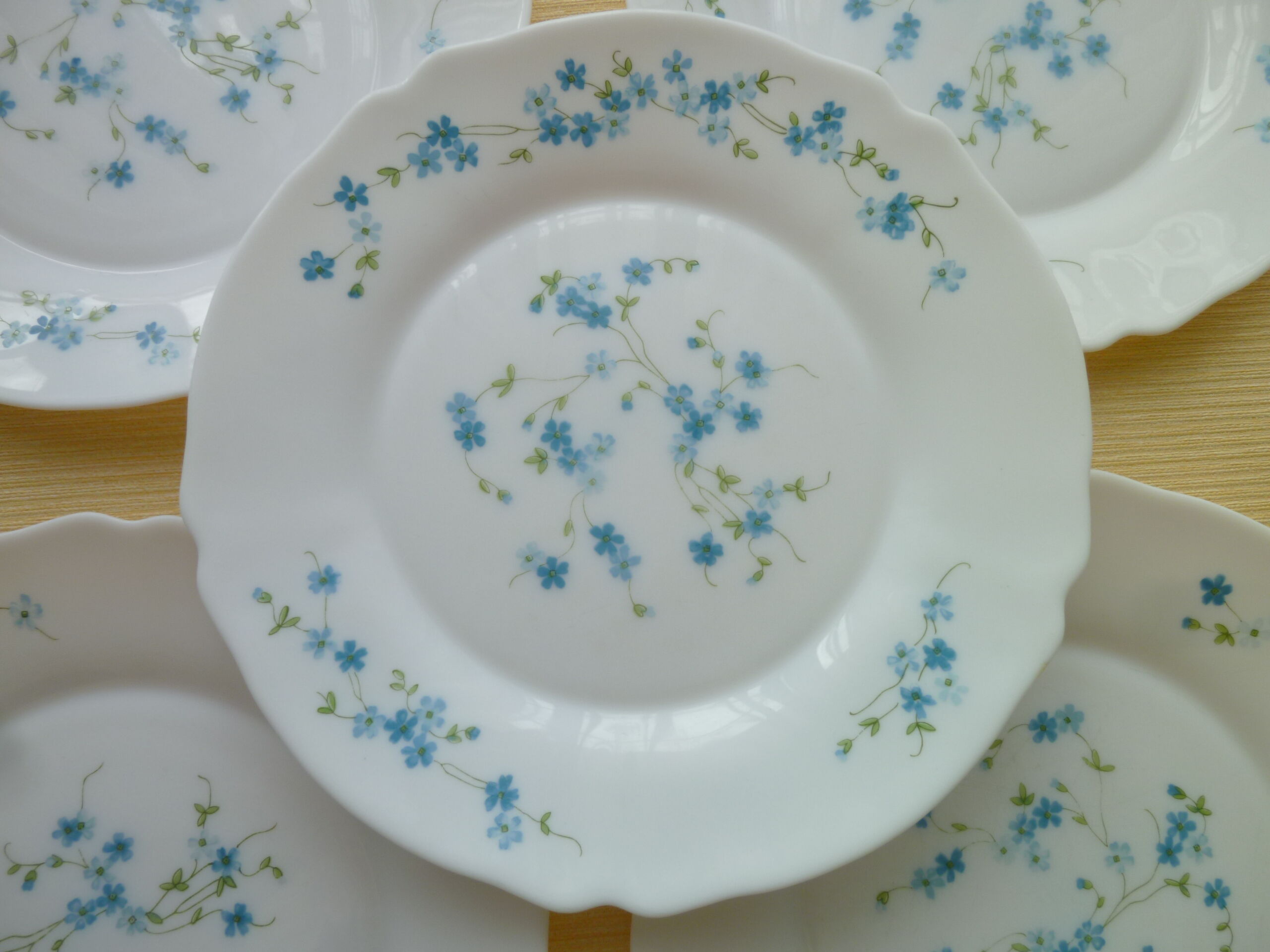 Set of 5 vintage flat plates in arcopal model veronica myosotis blue