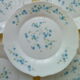 Set of 5 vintage flat plates in arcopal model veronica myosotis blue