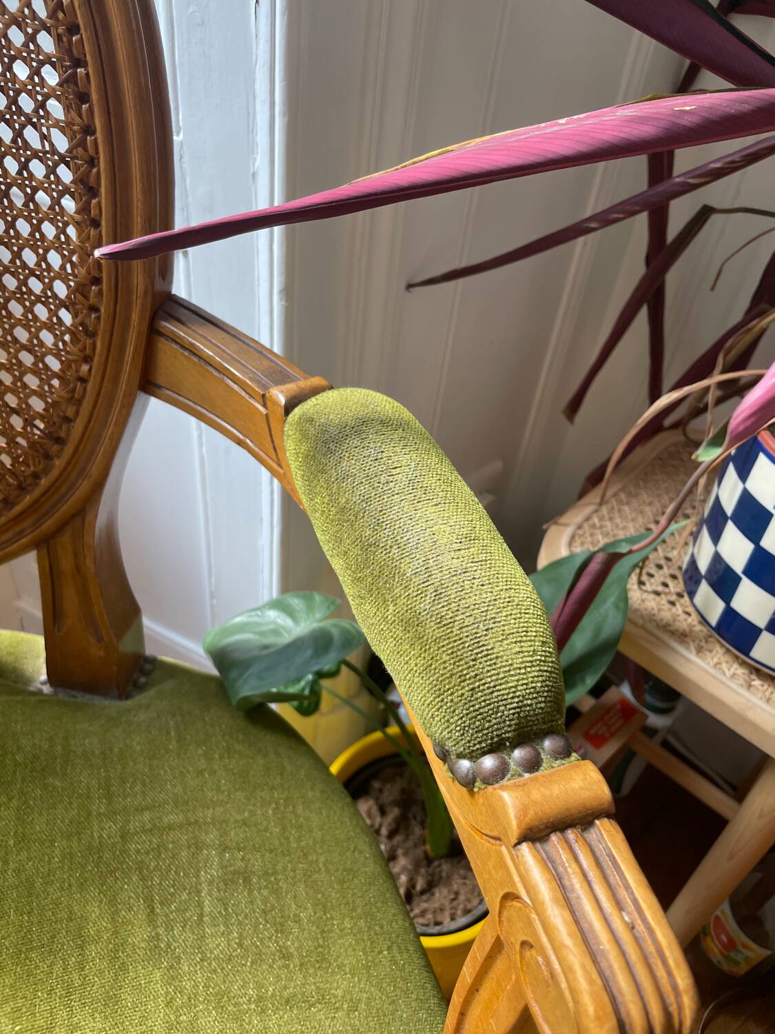 Louis XVI style armchair in velvet and rattan