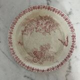 Lot 4 flat plates Terre de Fer (state of use)