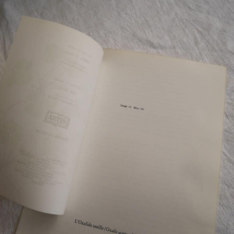 Botanical plate Oxalide sorrel