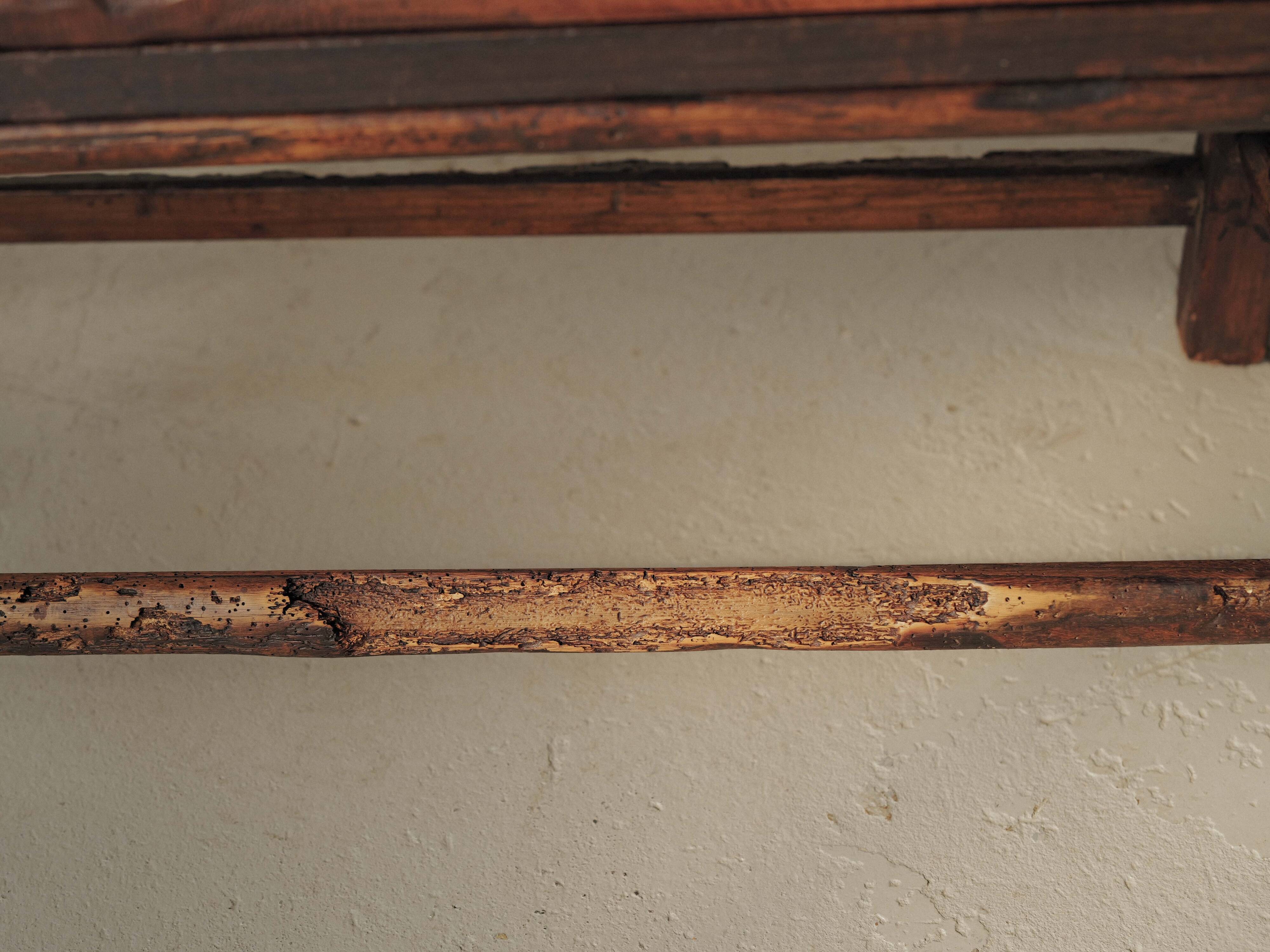 Solid wood cantou bench, Popular Art, 19th century