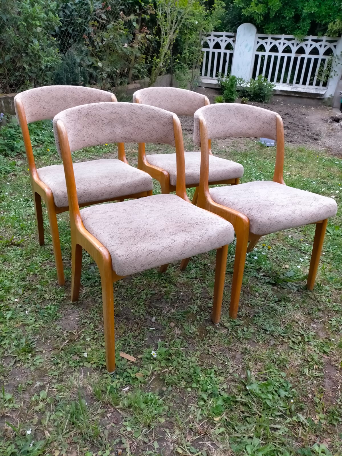 Series of 4 scandinavian chairs