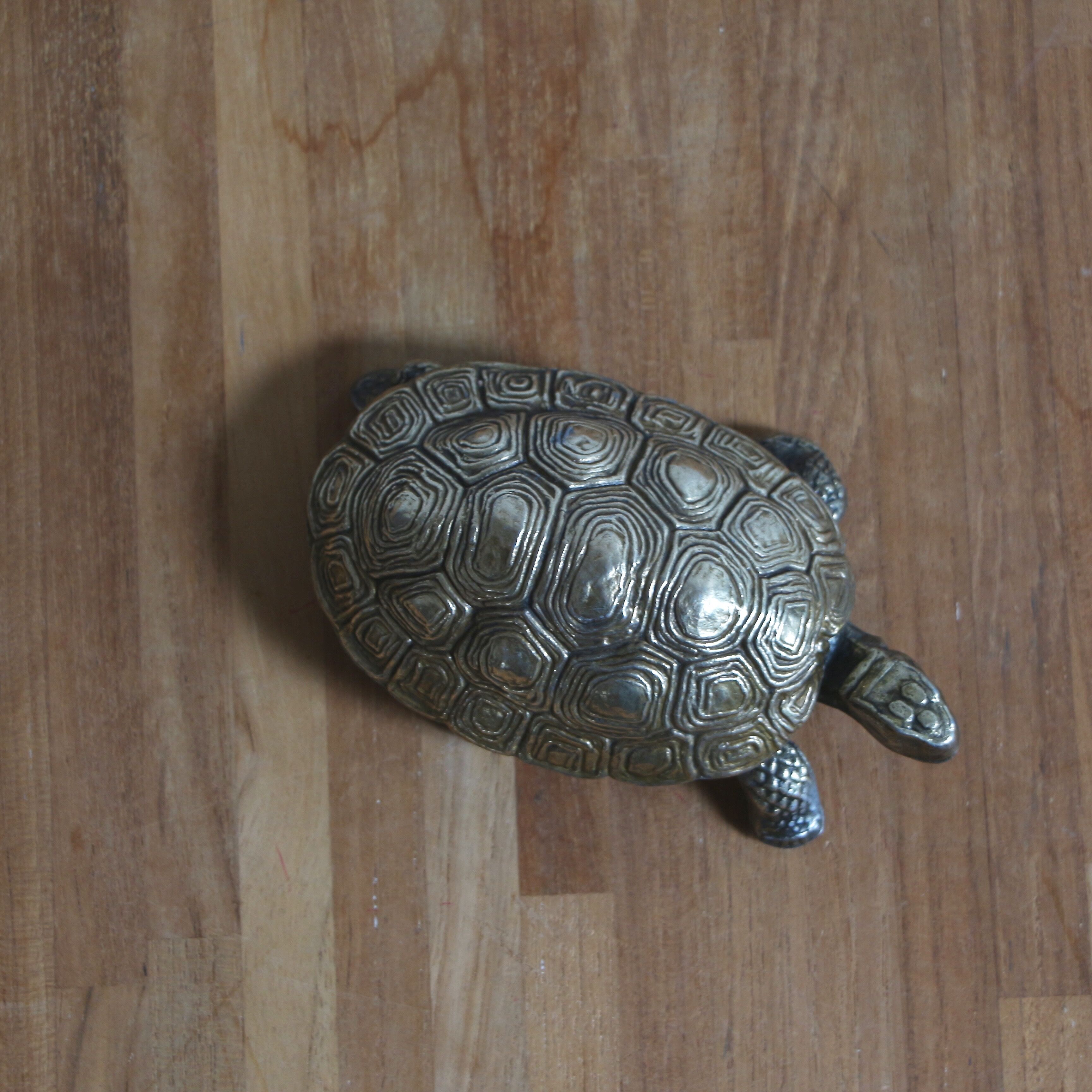 Boîte tortue