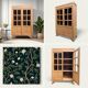 Parisian glass cabinet from La Samaritaine 1960
