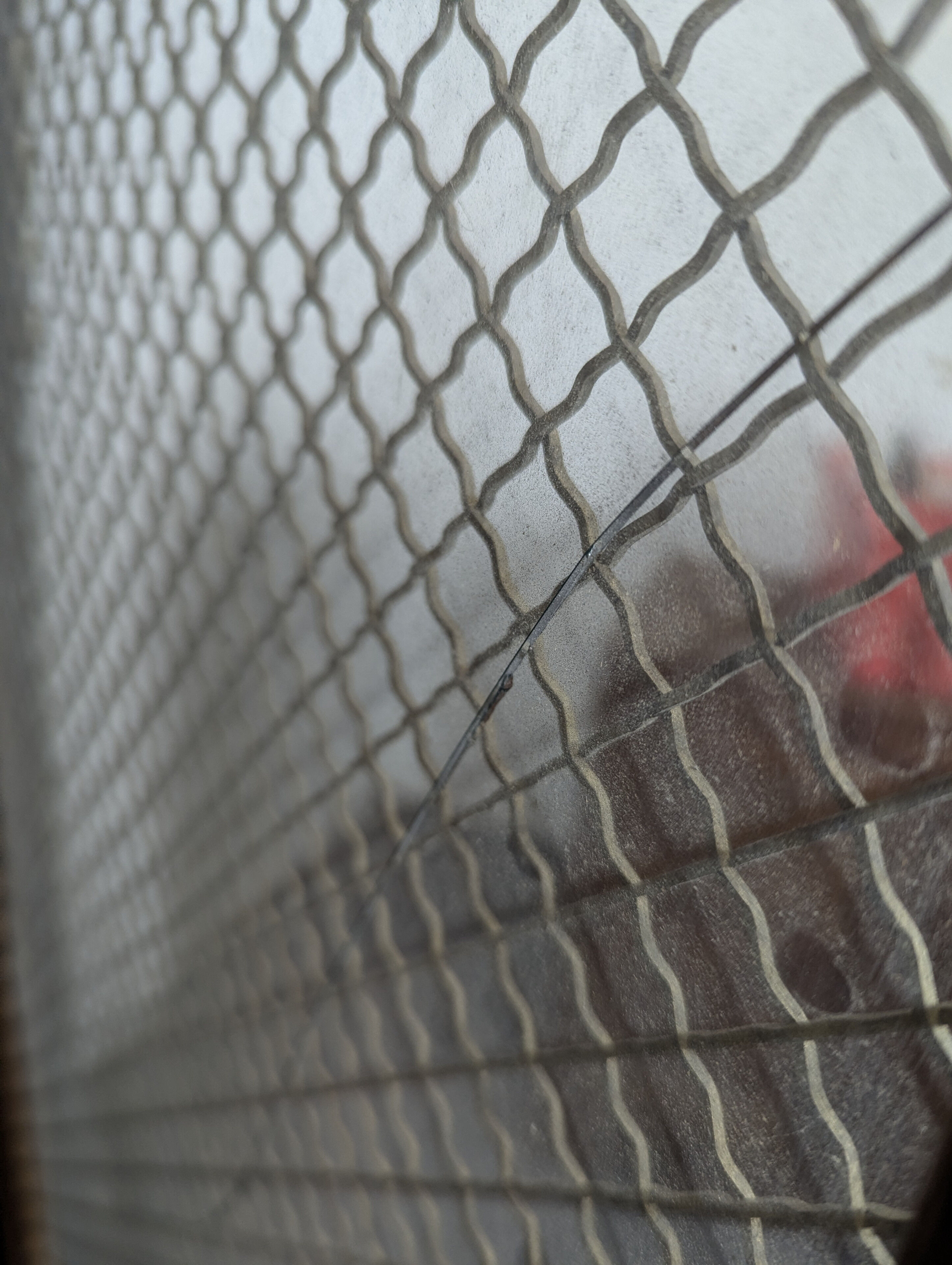 Blackened wooden bookcase display case from the Napoleon III period