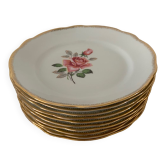 Dessert plates in fine porcelain