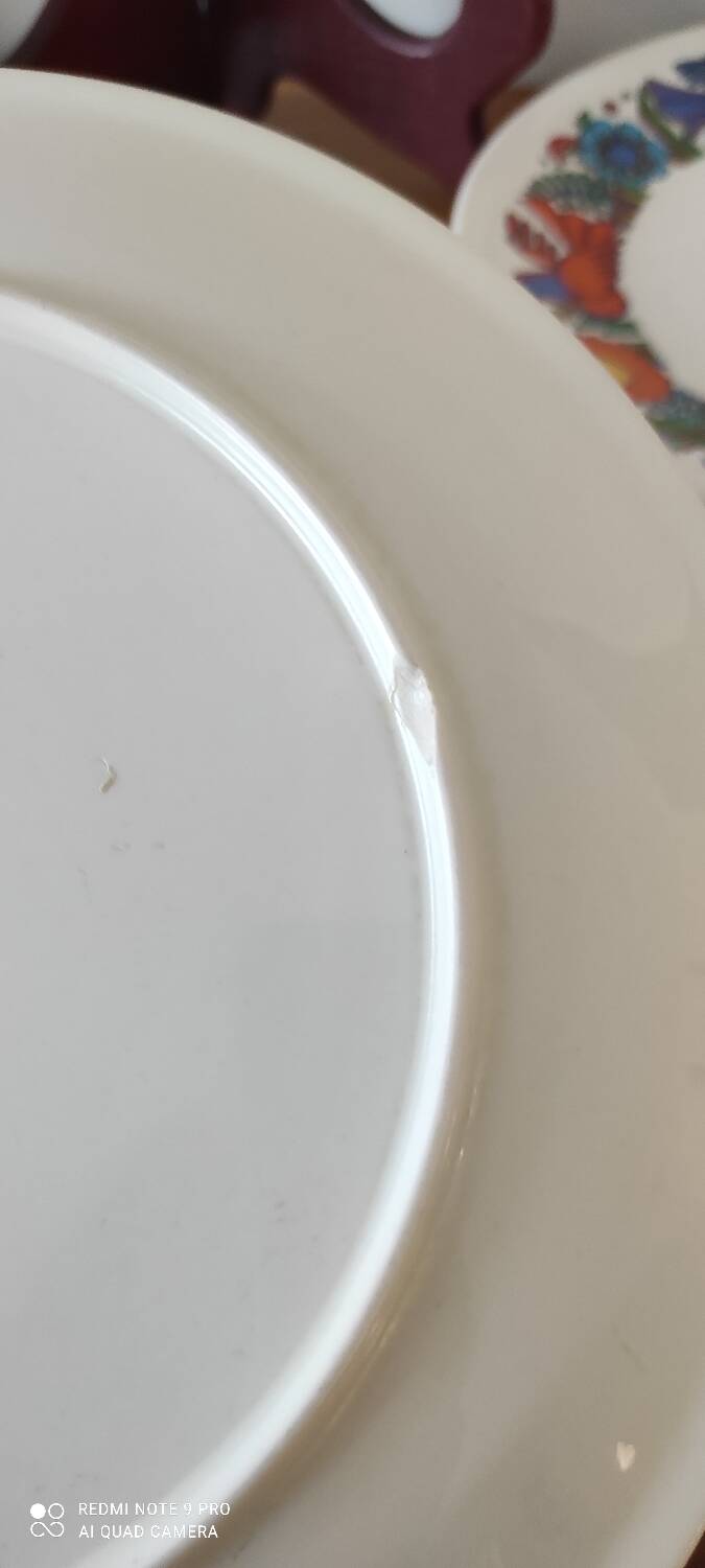 Villeroy and Boch Acapulco Plate Set