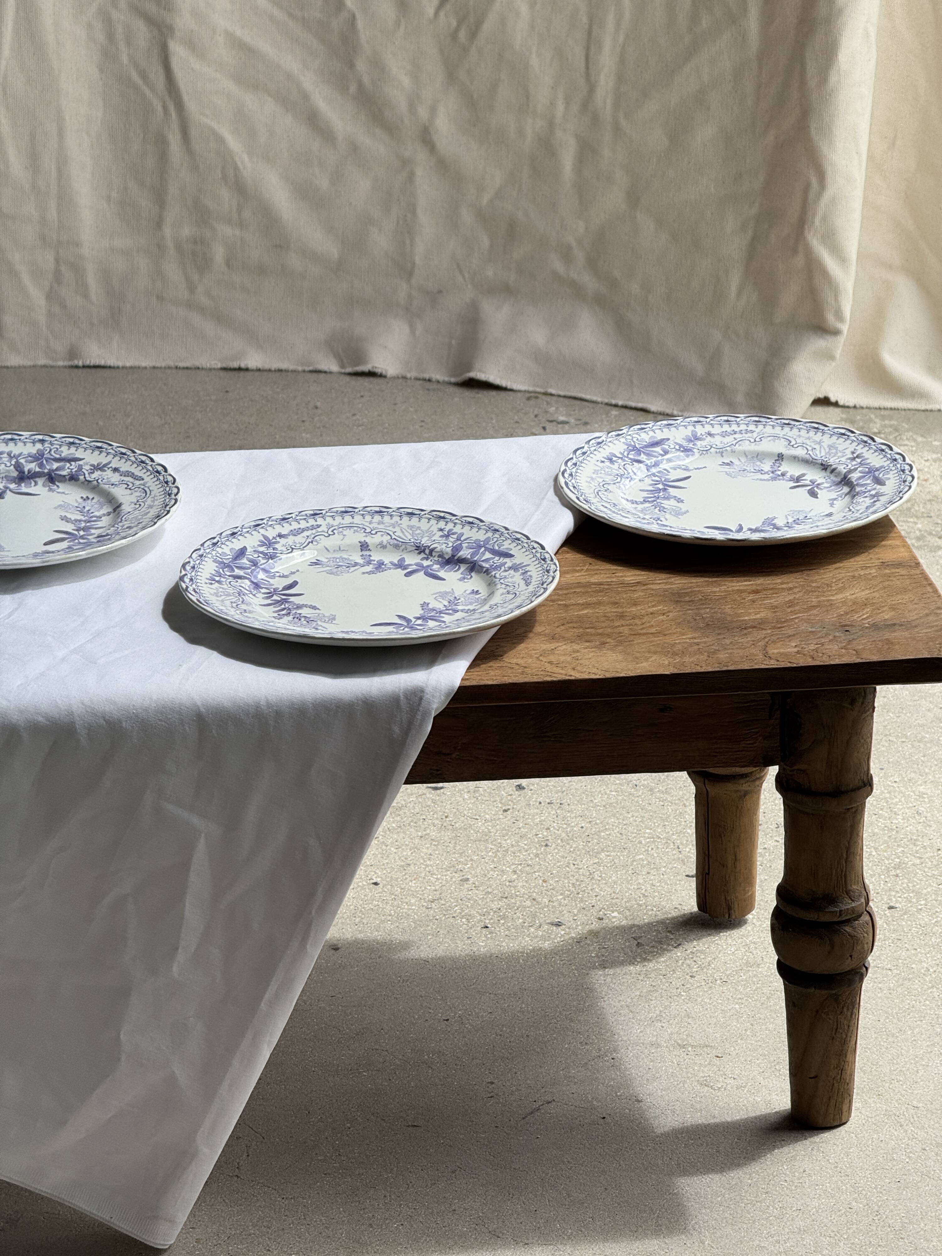Set of 5 flat plates in earthenware with a lavender floral design H2 D22
