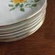 7 EPIAG Dallwitz dessert plates decorated with yellow roses