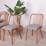 Dining Chairs by Antonín Šuman for Ton, 1960s, Set of 4