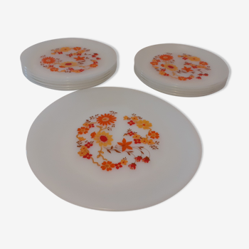 Service de 10 assiettes plates & 1 plat modèle flore Arcopal fleurs orange vintage