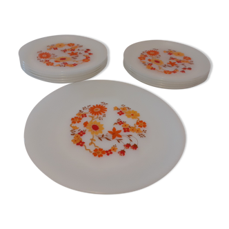 Service of 10 flat plates & 1 dish model flora Arcopal vintage orange flowers