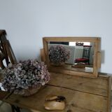 Mirror tray