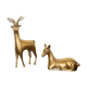 Deer and deer brass