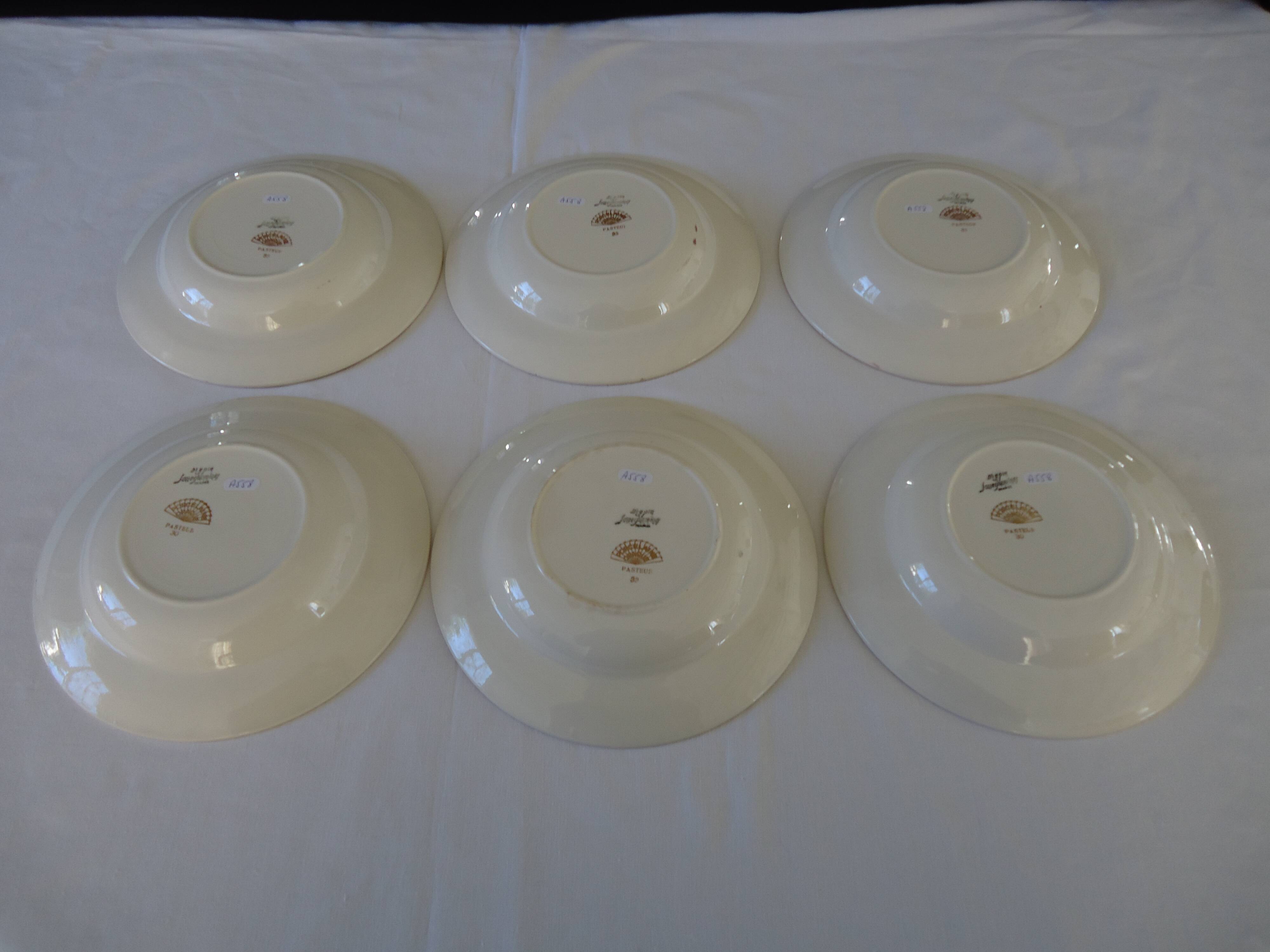 Deep plates, opaque porcelain, digoin sarreguemines, pasteur pattern