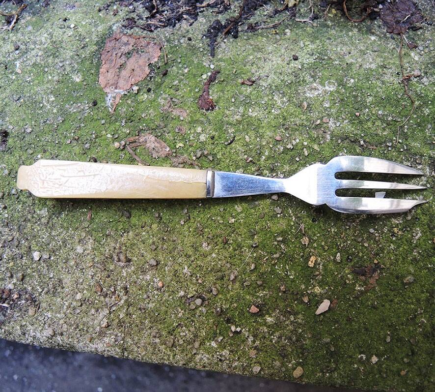 12 anciennes fourchettes à entremets en inox et bakélite