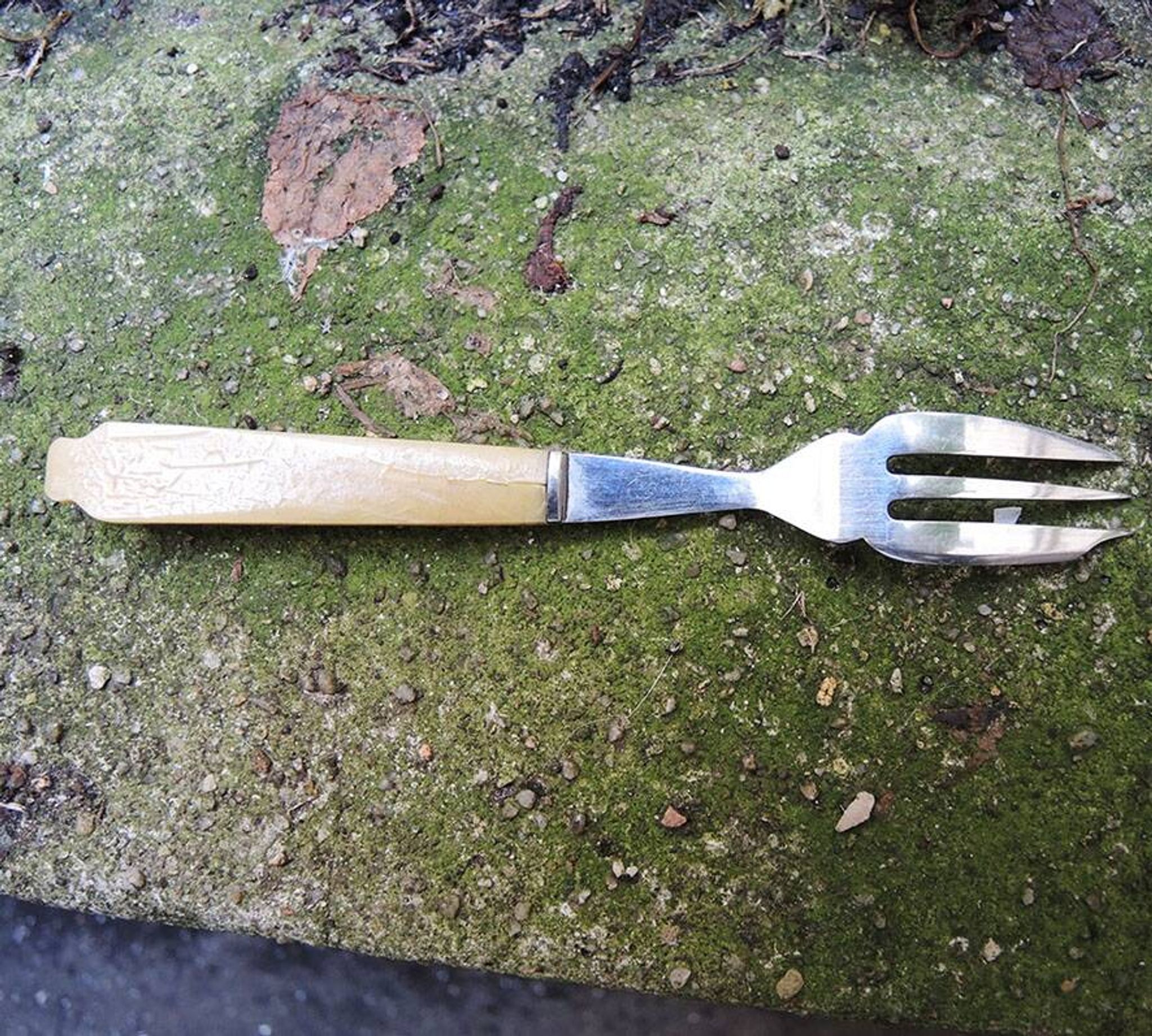 12 anciennes fourchettes à entremets en inox et bakélite