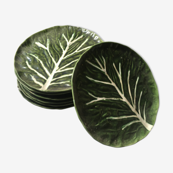 Cabbage plates from Portugal