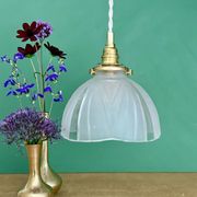 Vintage art deco frosted glass lampshade pendant light