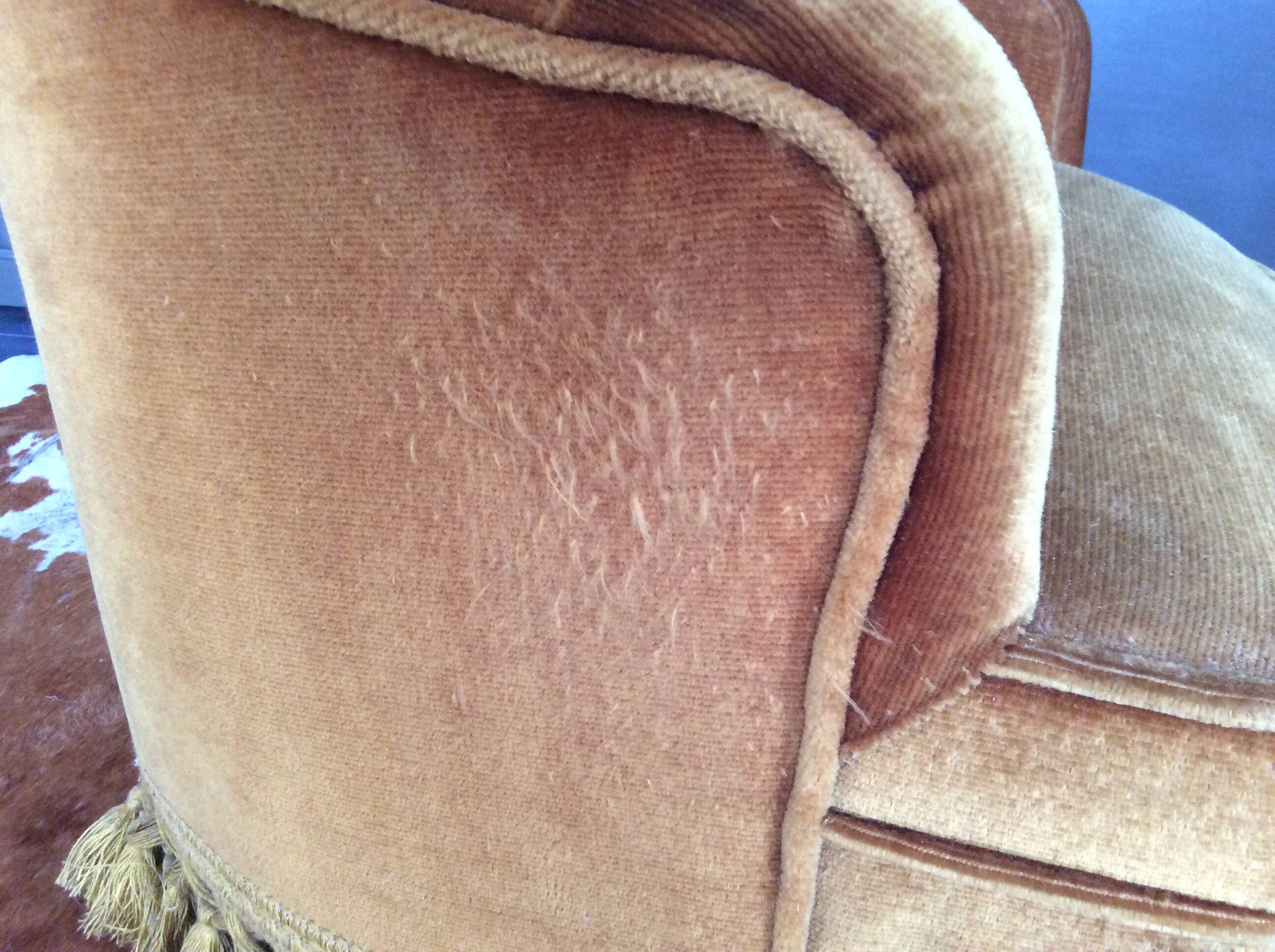 Fauteuil crapaud