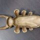 Vintage bronze beetle