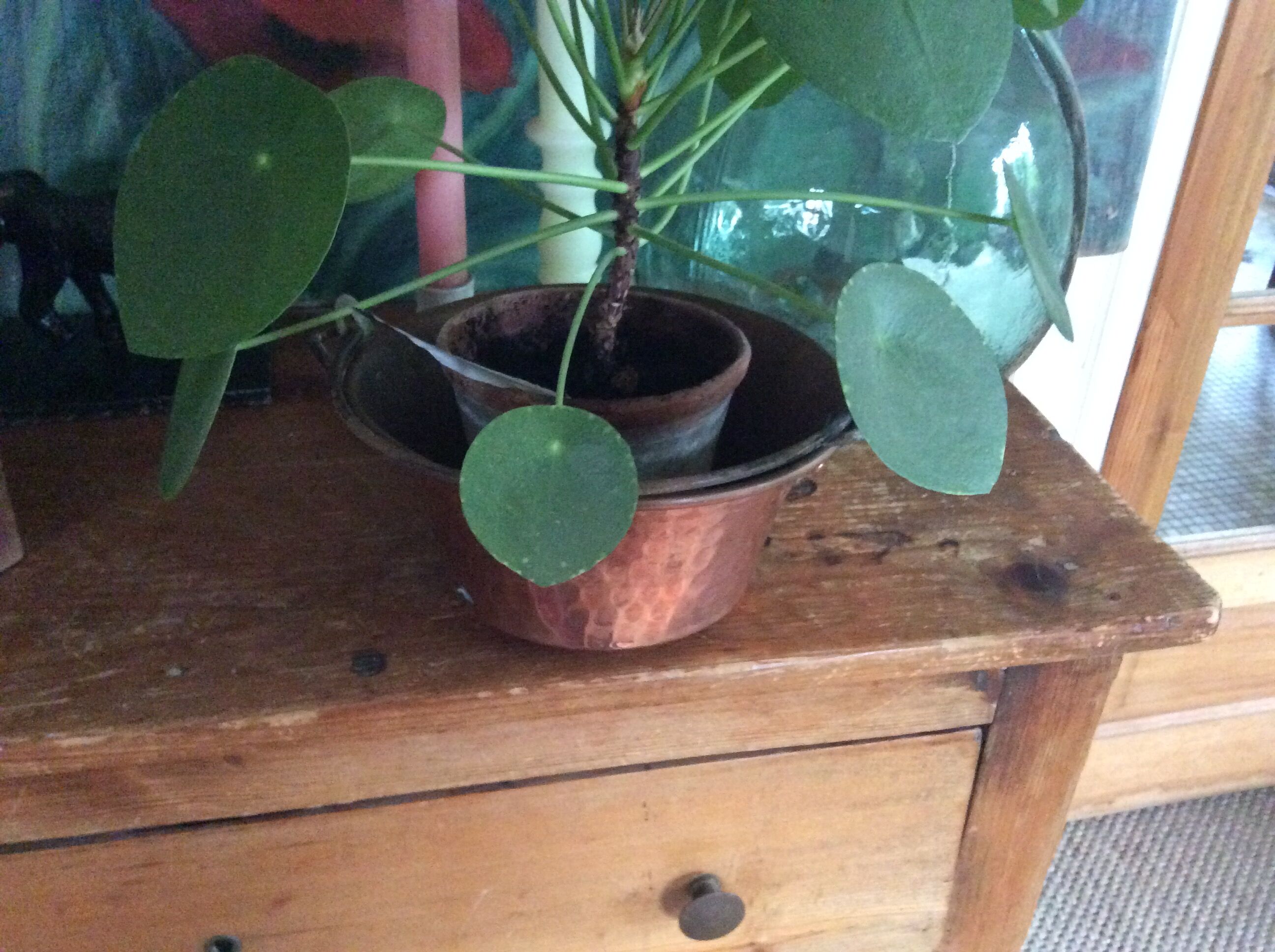 Cache-pot en cuivre