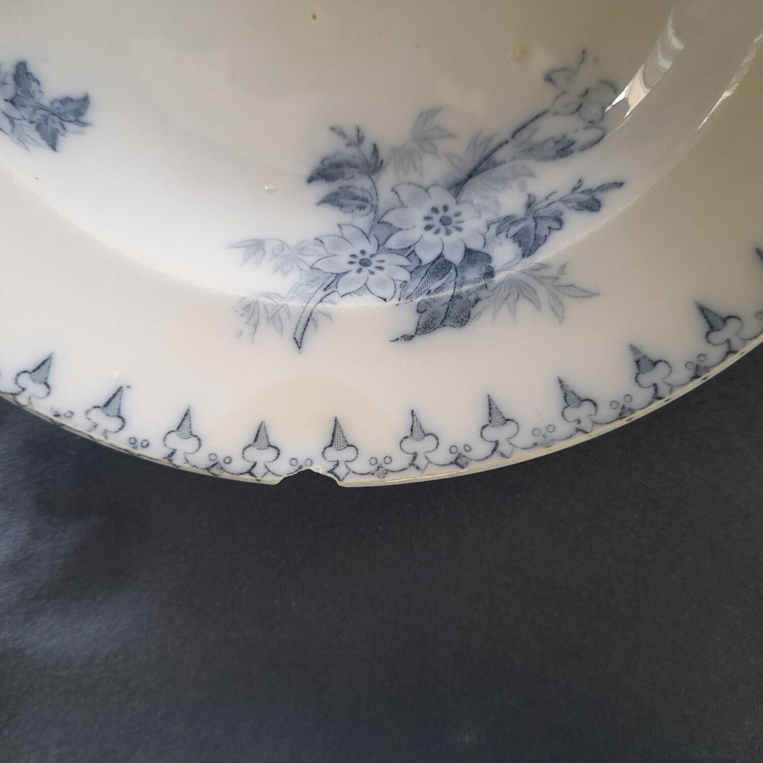 Hollow plates Flora of Sarreguemines - lot of 5