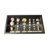 Fossils educational framework with various fossils