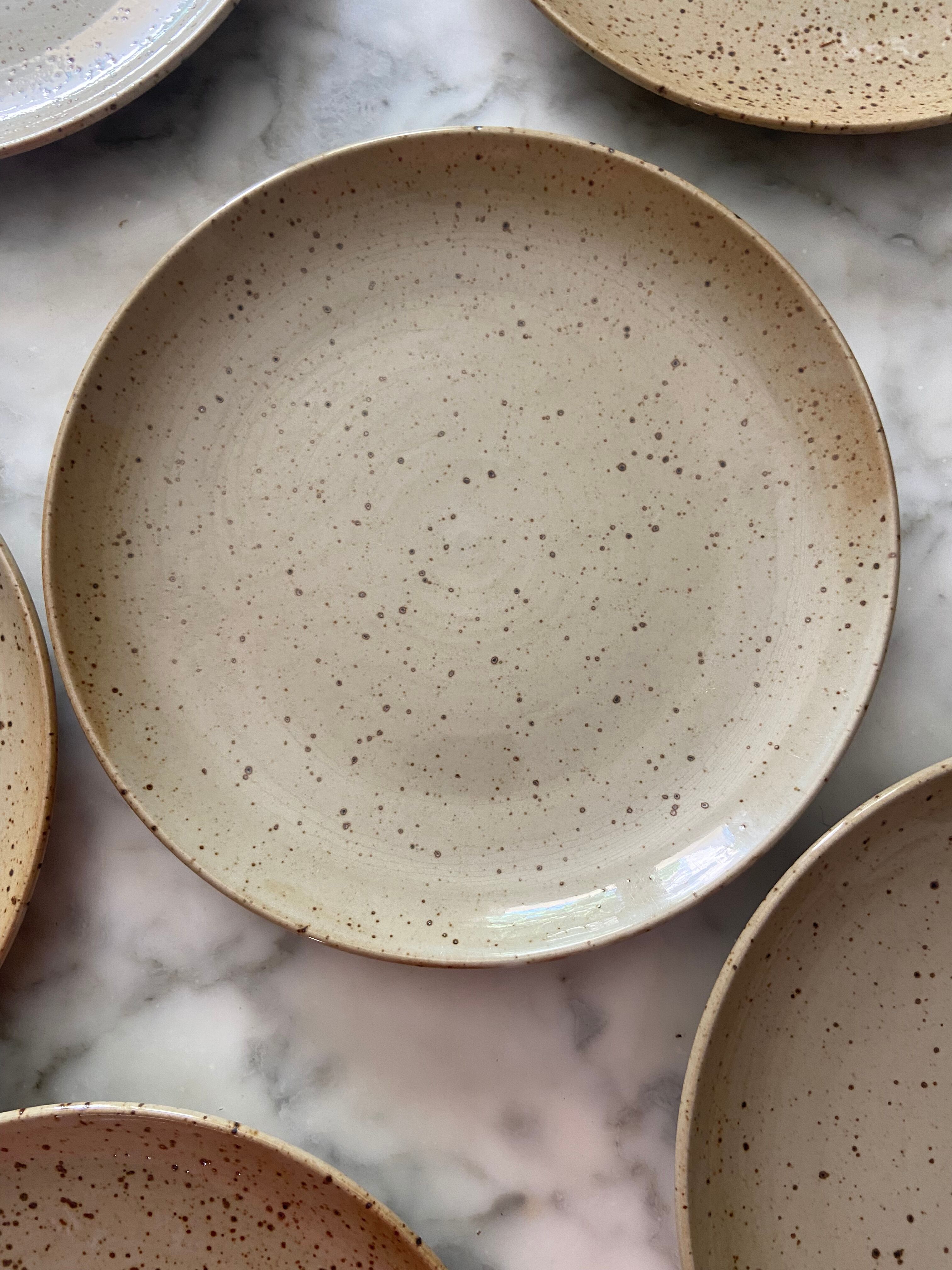 Series of 6 flat plates in vintage stoneware