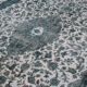 Tapis persan surteint fait à la main - 214x319cm