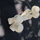 White Bamboo Wall Coat Rack