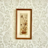 Vintage wood frame dried flowers under glass