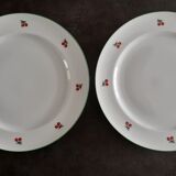 2 assiettes aux motifs de cerises