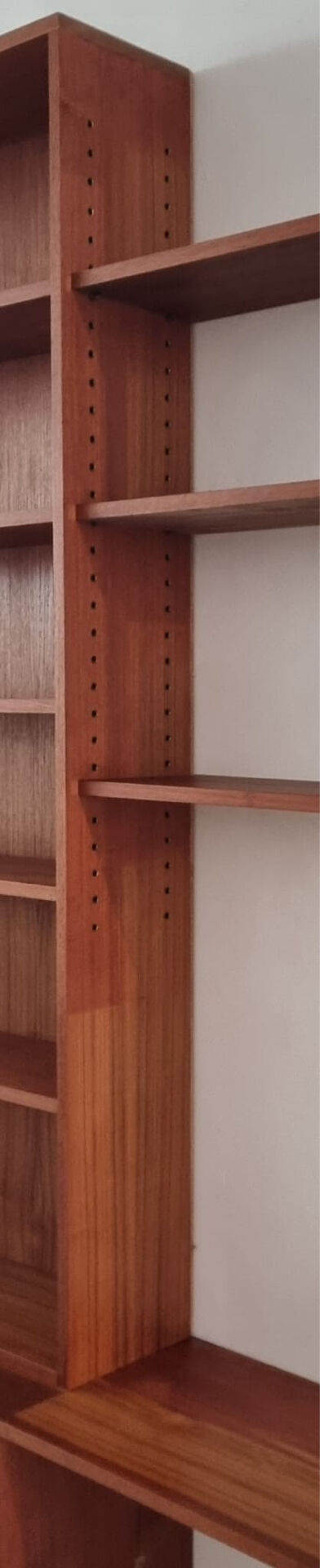 Mid-century library