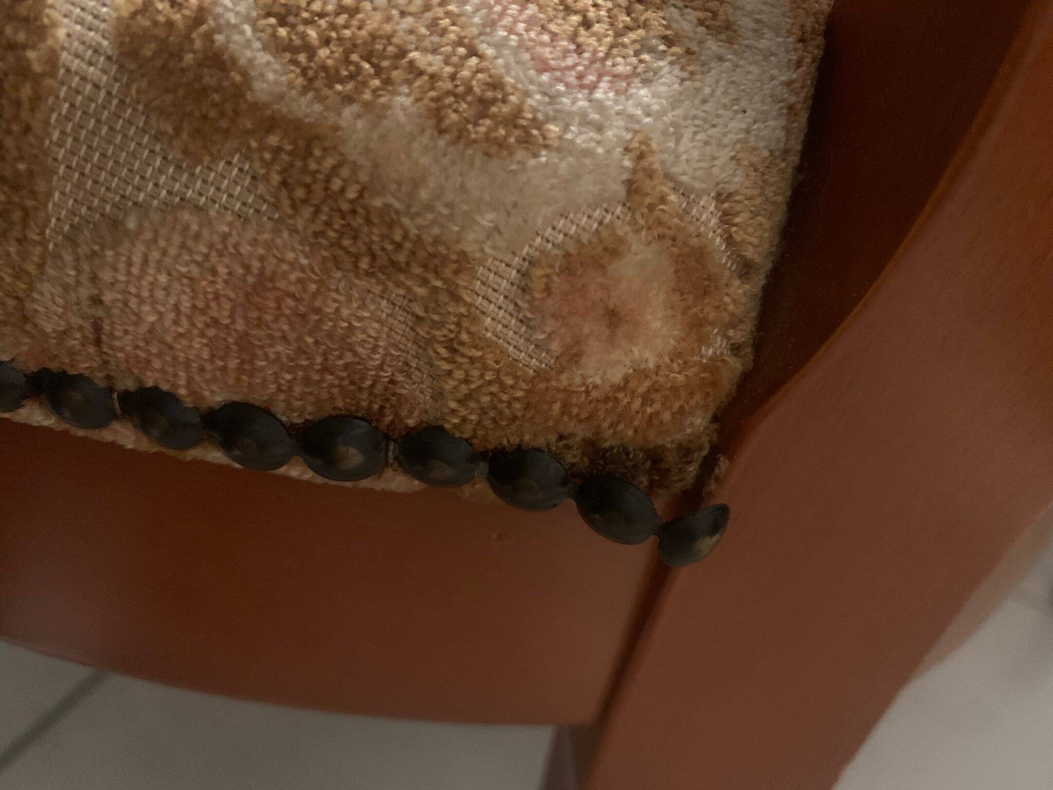 6 Louis XV style chairs