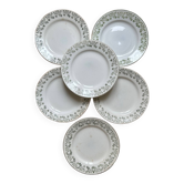 Series of 6 old plates “Terre de Fer”