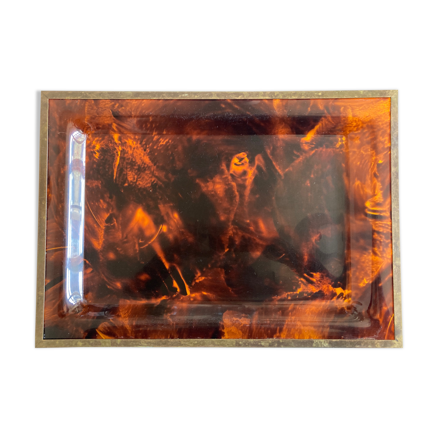 Plate of lucite scale and patinated brass