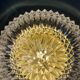 Vintage moulded glass wall or ceiling light globe (PLAF40)