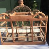 Cage has old birds