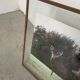 Old photo deer
