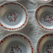 6 assiettes scania creuses arcopal france fleurs orange