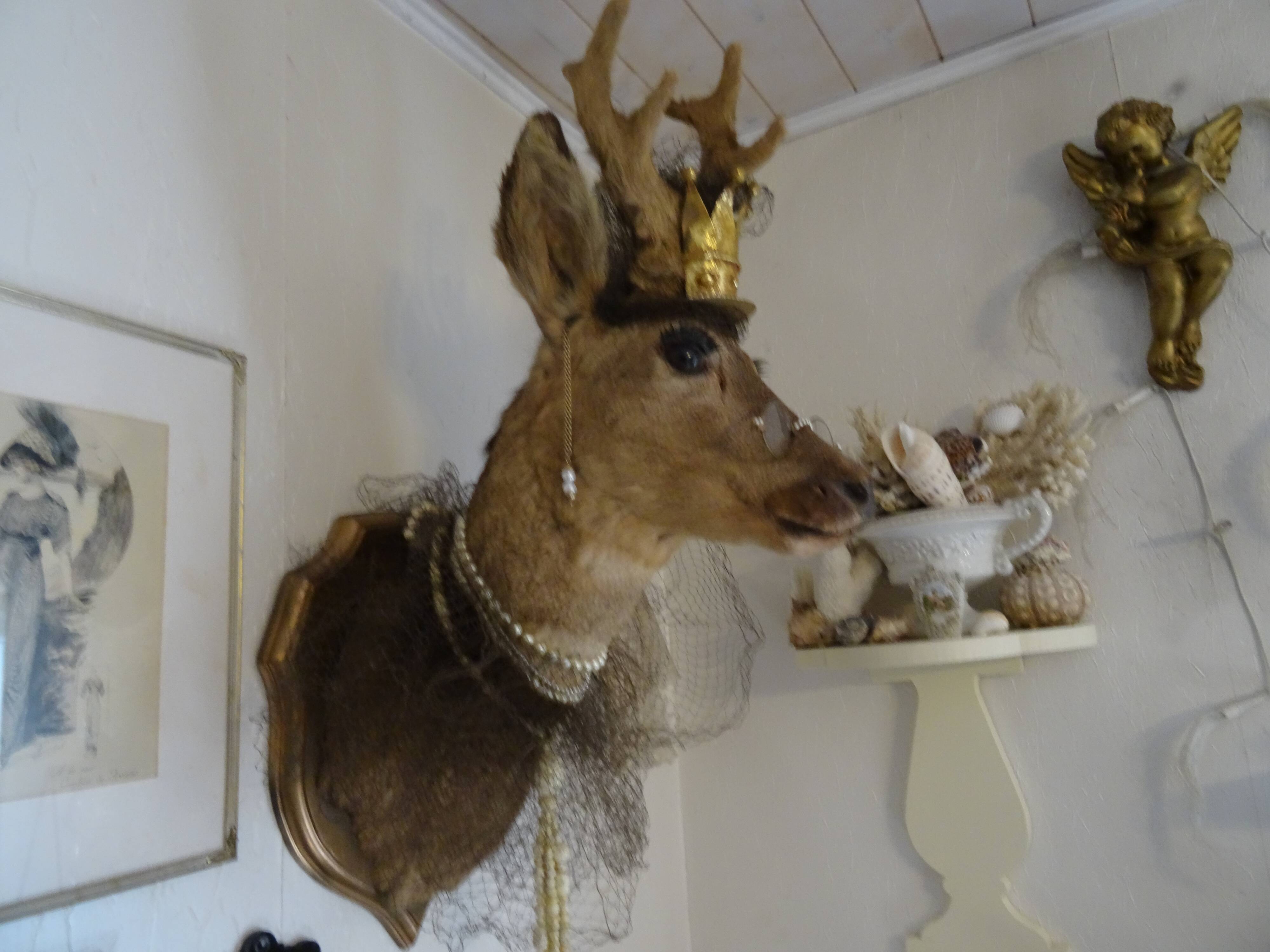 Deer head - hunting trophy