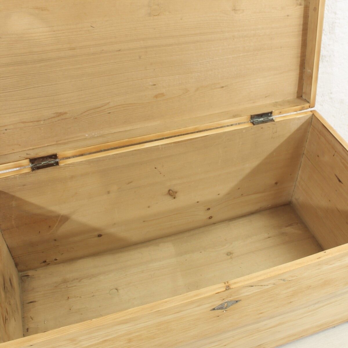 Antique fir trunk