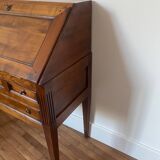 Secretary speed bump