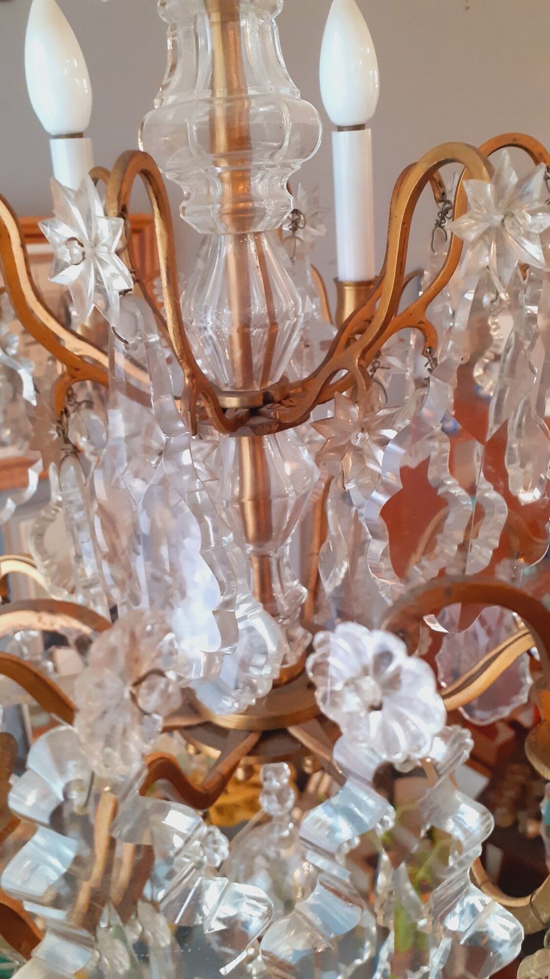 Chandelier cage with grapevines 8 lights Louis XV style in bronze and crystal around 1900