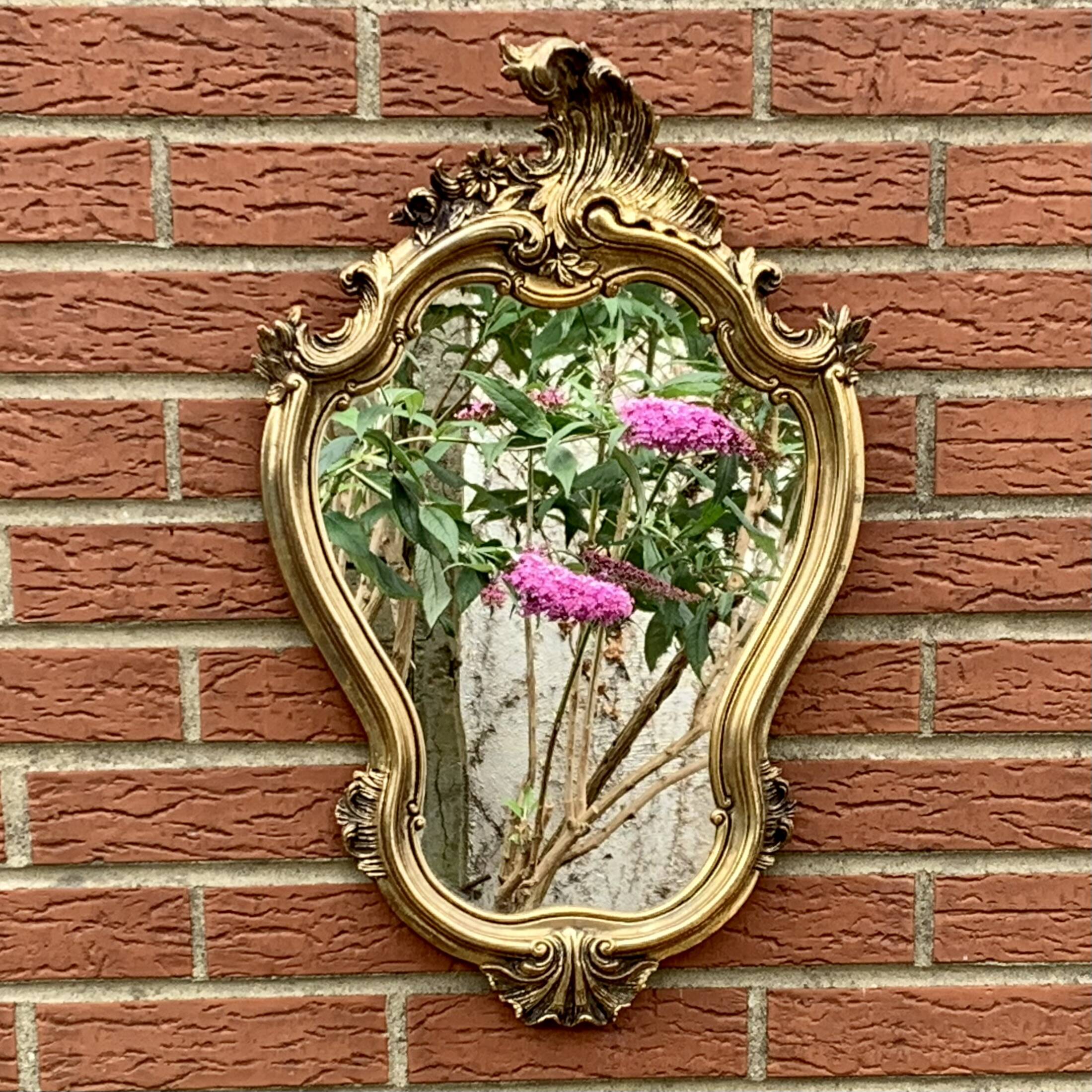 Old wall mirror in golden resin rococo style - made in france